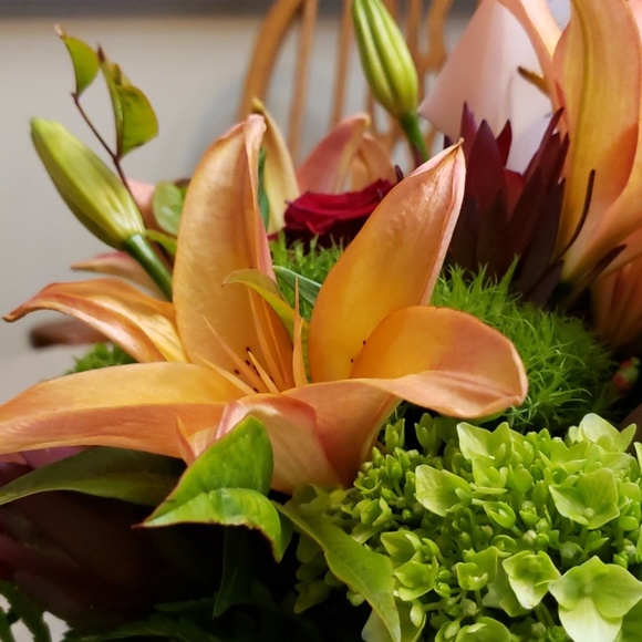 Meet your Posher, Laura - Picture 1 of 1